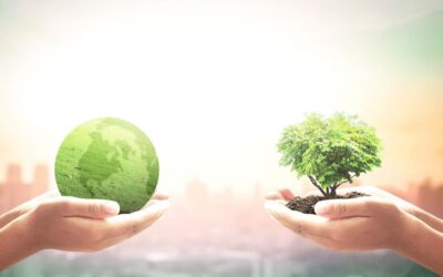 ¿Conoces los distintos tipos de certificados FSC?